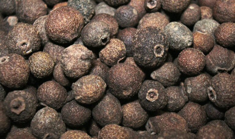 Les avantages du poivre de Cayenne pour perdre du poids