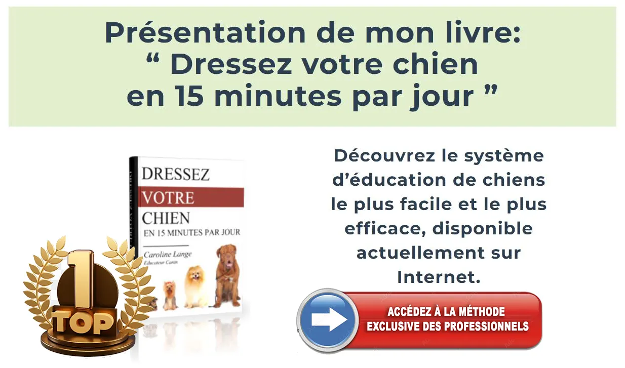 Quels sont les chiens les plus difficiles à dresser ?